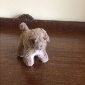 Kosen Dog